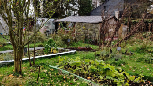 Gartenführung im AStA-Land