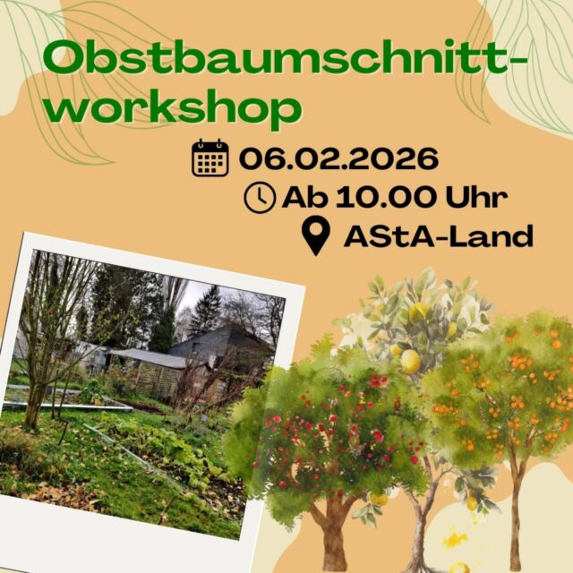 Obstbaumschnittworkshop
English below

🕚 06.Februar 2026, ab 10.00 Uhr
📍 AStA Land

👉Innerhalb des Workshops “Obstbaumschnitt – und -pflege“ soll das theoretische (u.a. Hintergrundwissen, Wuchsgesetze, Leitfaden des Obstbaumschnitts) und praktische Grundwissen über den Obstbaumschnitt vermittelt werden. Der Schwerpunkt des Kurses liegt dabei jedoch auf der praktischen Anwendung der Theorie. 

✂️Die Teilnehmenden lernen die fachgerechte Altbaumpflege unter professioneller Anleitung.
❗️Anmeldung bitte über die E-Mail-Adresse: astaland@asta-uol.de

🌻Weitere Informationen über das AStA Land und eine Wegbeschreibung unter: https://asta-uol.de/asta-land/

🌳 Fruit Tree Pruning Workshop 

🕚 2nd of February 2026, starting at 10 a.m. 
📍 AStA Land

👉 In the workshop “Fruit Tree Pruning and Care,” both theoretical (including background knowledge, growth principles, and pruning guidelines) and practical basics of fruit tree pruning will be taught. However, the main focus of the course is on the practical application of the theory.

✂️ Participants will learn proper old tree care under professional guidance.

❗️To register, please email: astaland@asta-uol.de

🌻Further information about AStA Land and directions can be found at: https://asta-uol.de/asta-land/